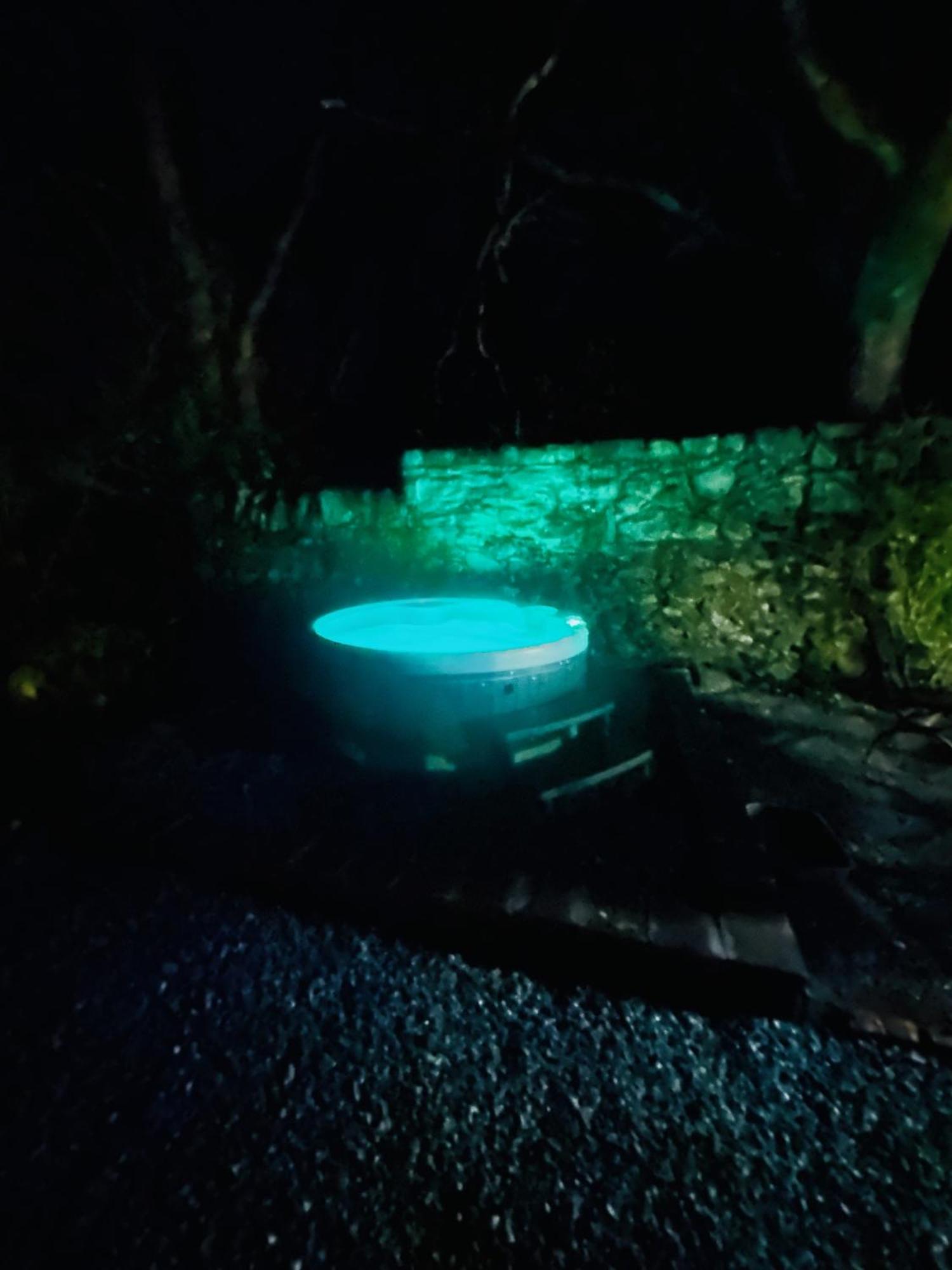 Tiny Romantic Retreat With Hot Tub On A Country Estate Near Cardigan Bay In Eryri Snowdonia Llanbedr  Esterno foto